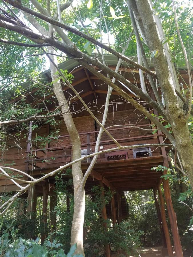 The Inn On The Tree Sigiriya Exterior photo