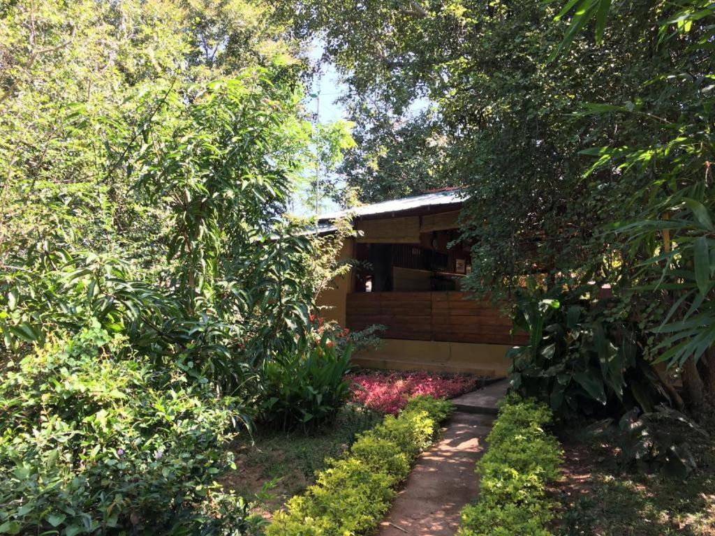 The Inn On The Tree Sigiriya Exterior photo